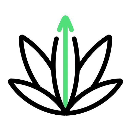 Rank Really High Favicon